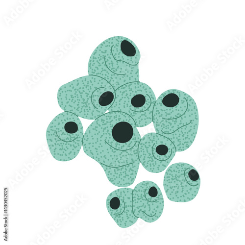 Coral reef. Underwater world. Sea plant isolated on white background. Aquarium. Underwater ocean plant.