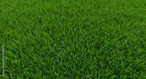 Wallpaper Mural Lush Green Grass Field Texture: Natural Background of Vibrant Green Blades Torontodigital.ca