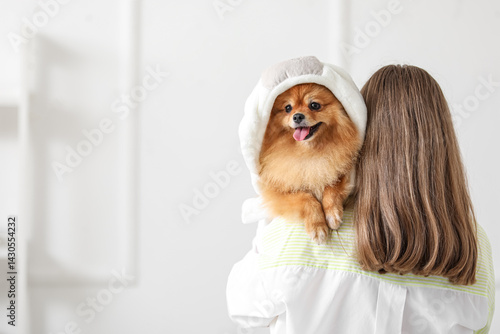 Female groomer wiping Pomer...