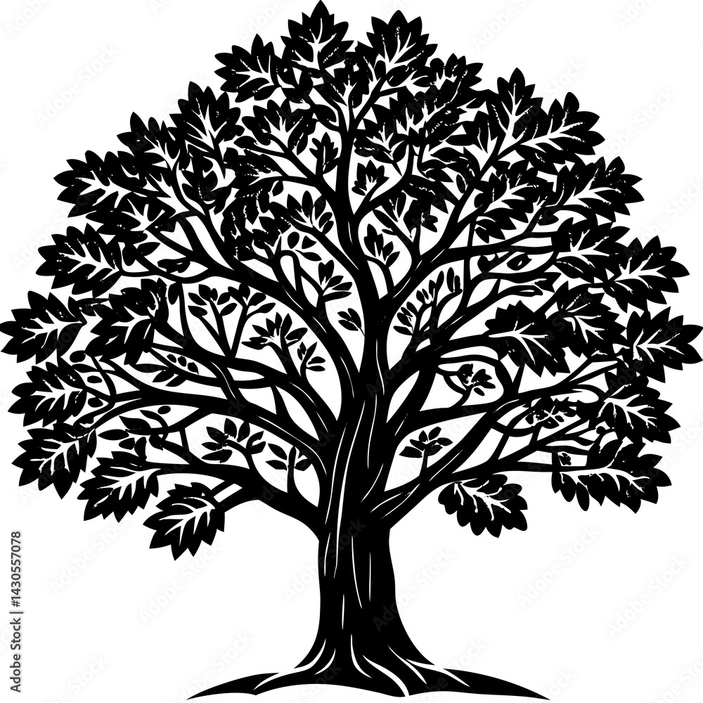Obraz premium Sandalwood tree