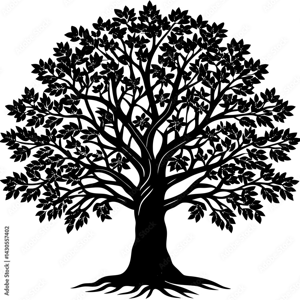 Obraz premium Sandalwood tree