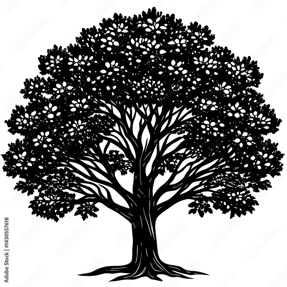 Obraz premium Sandalwood tree