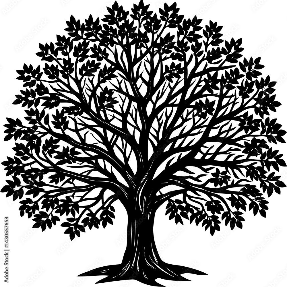 Obraz premium Sandalwood tree