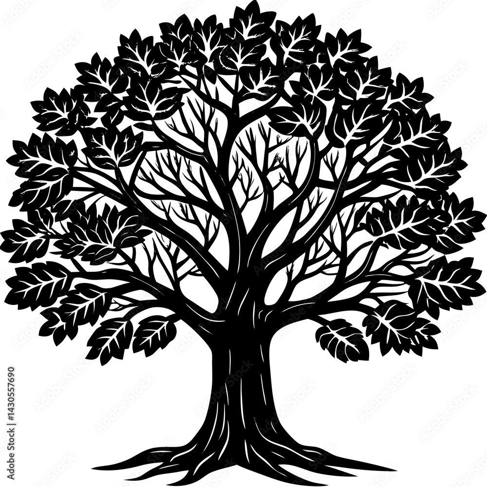 Obraz premium Sandalwood tree