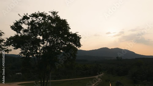 Tranquil Evening Landscape Silhouette of Majestic Tree Against Soft Sunset Sky, Winding Dirt Road Through Rolling Hills, Embracing Natures Serenity and Peace.