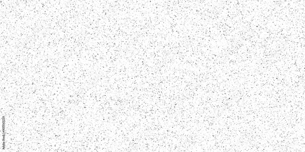 Terrazzo flooring texture polished stone and grain noise pattern old surface marble for background. white and black paper and marble texture. quartz surface for bathroom or kitchen countertop. Terrazzo flooring texture polished stone and grain noise pattern old surface marble for background. white and black paper and marble texture. quartz surface for bathroom or kitchen countertop.