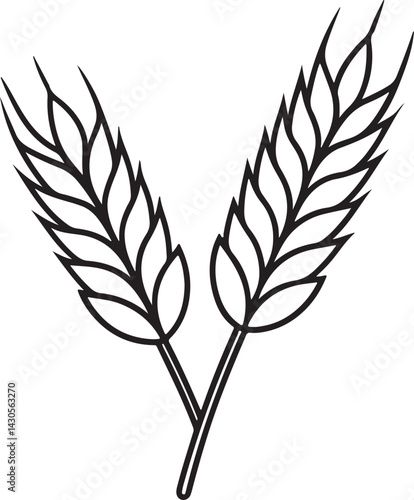 wheat line art, black outline, vector and illustration, coloring book page line art drawing