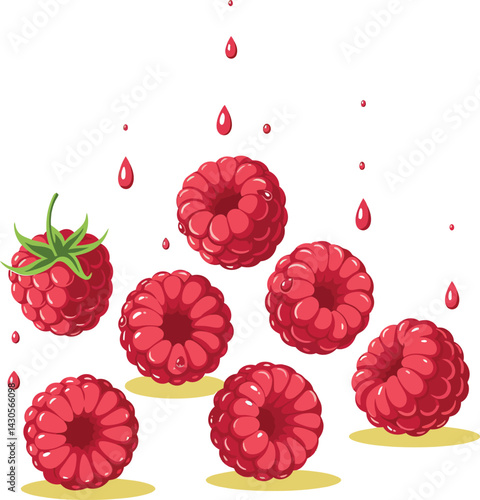 Fresh red raspberries with water drops vector illustration in white background 