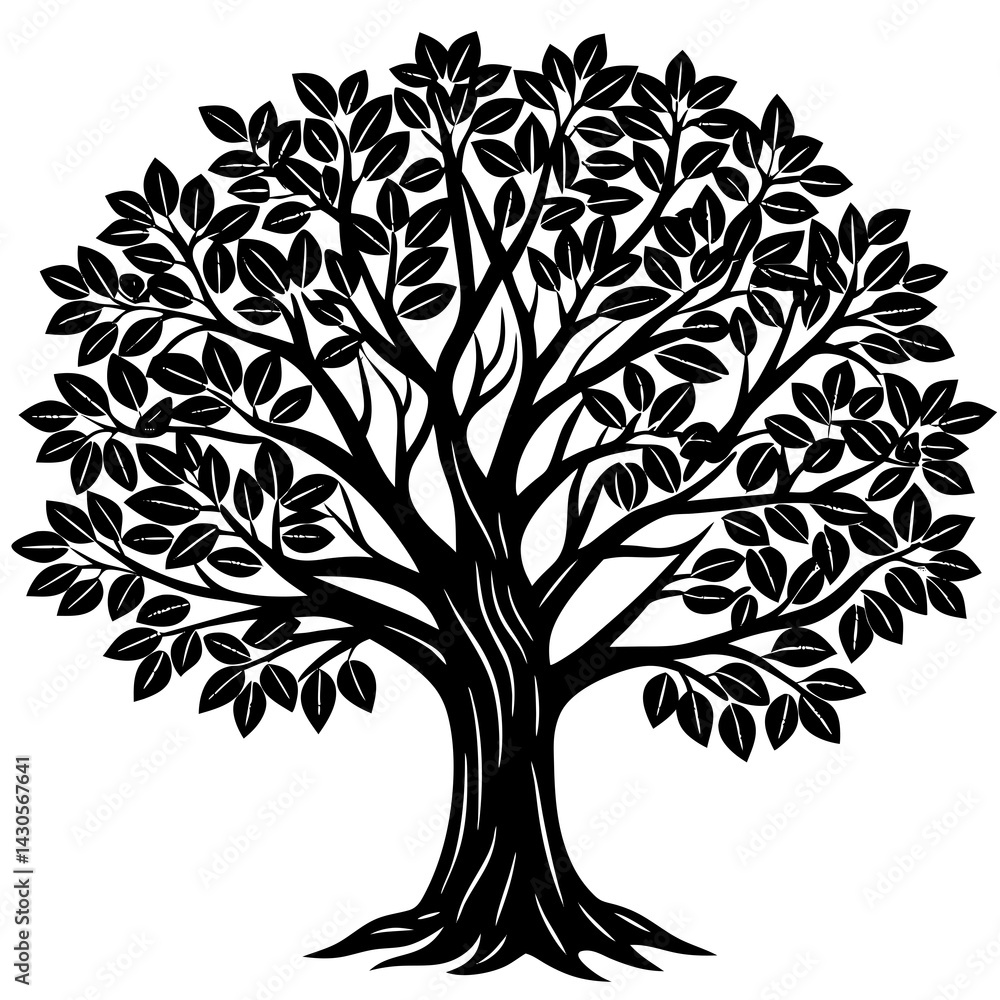 Obraz premium Eucalyptus tree