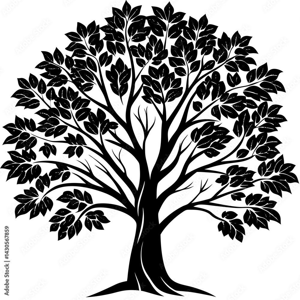 Obraz premium Eucalyptus tree