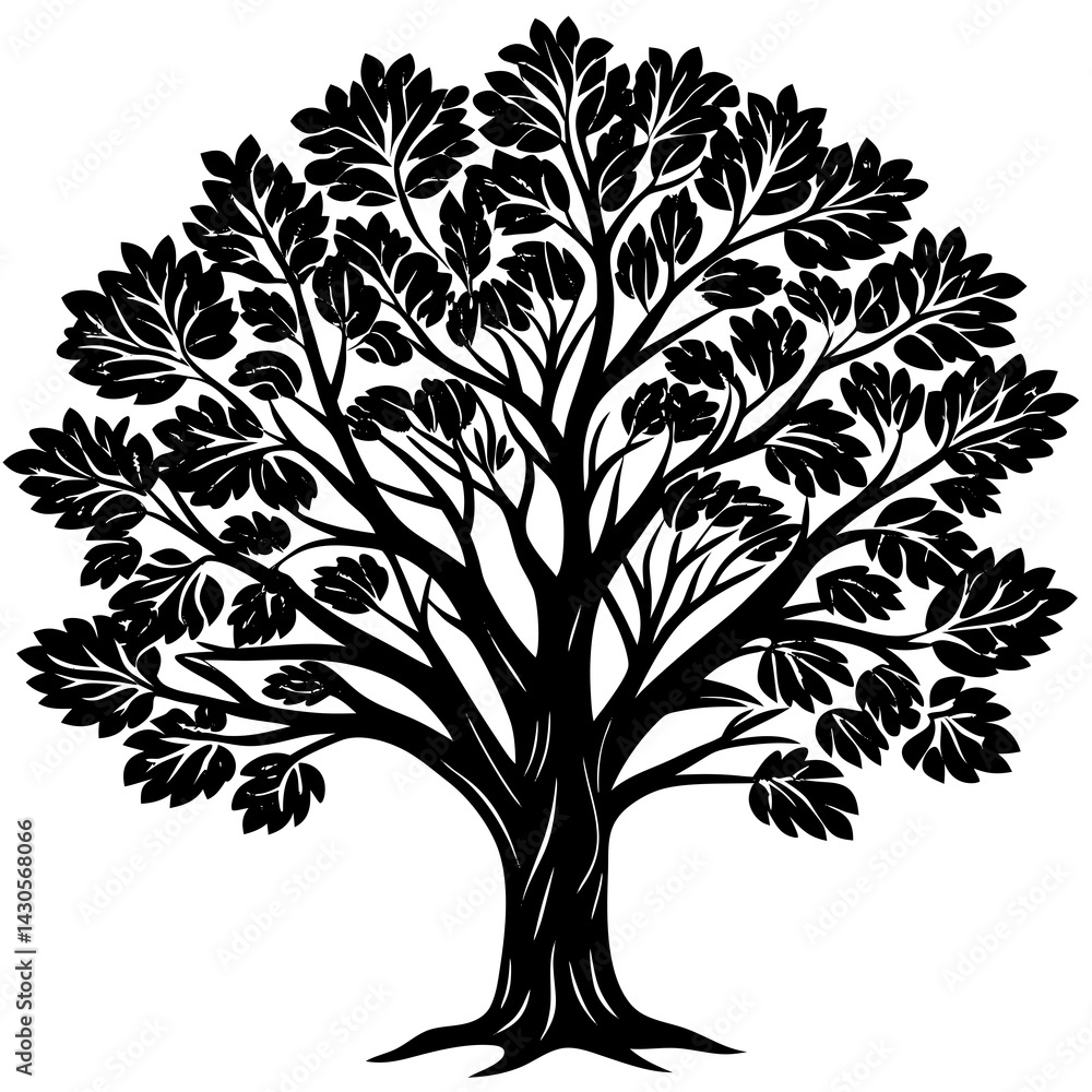 Obraz premium Eucalyptus tree