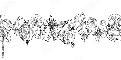 Gooseberry Currant garden berries, flowers in water dew drops hand drawn in vector ink. Seamless isolated banner garland. Home preserves, textile stationery, food store decor, recipe book, cafe menu