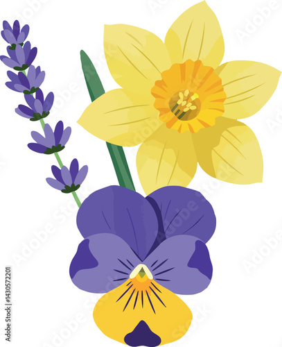 Yellow daffodil purple pansy and lavender flower vector illustration in bright colors 