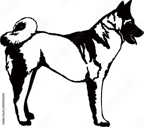 Dog silhouette. Vector of dog. Pet vector illustration. Canine symbol isolated