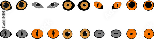 Animal Eyes