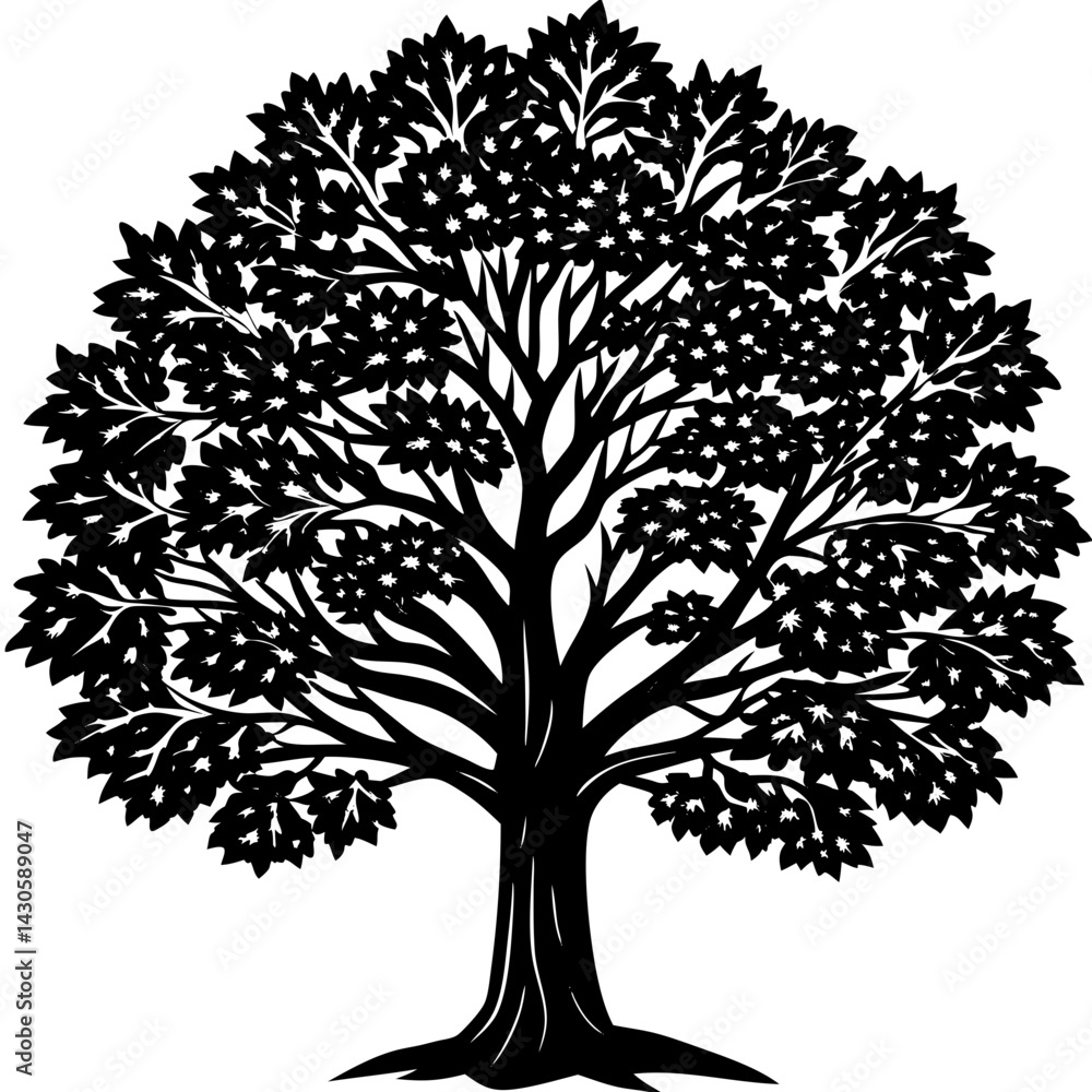 Obraz premium Teak tree