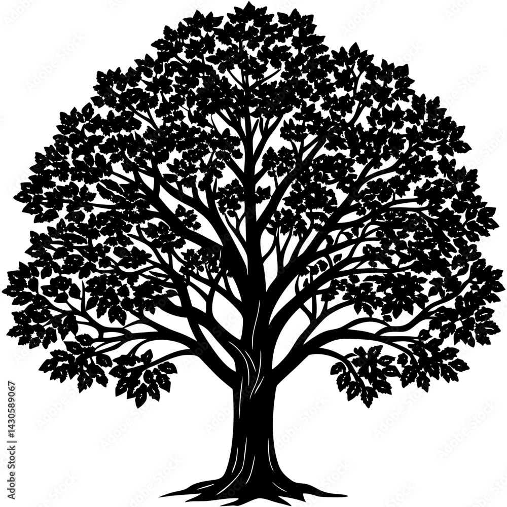 Obraz premium Teak tree