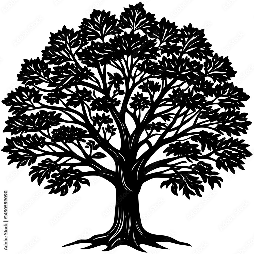 Obraz premium Teak tree