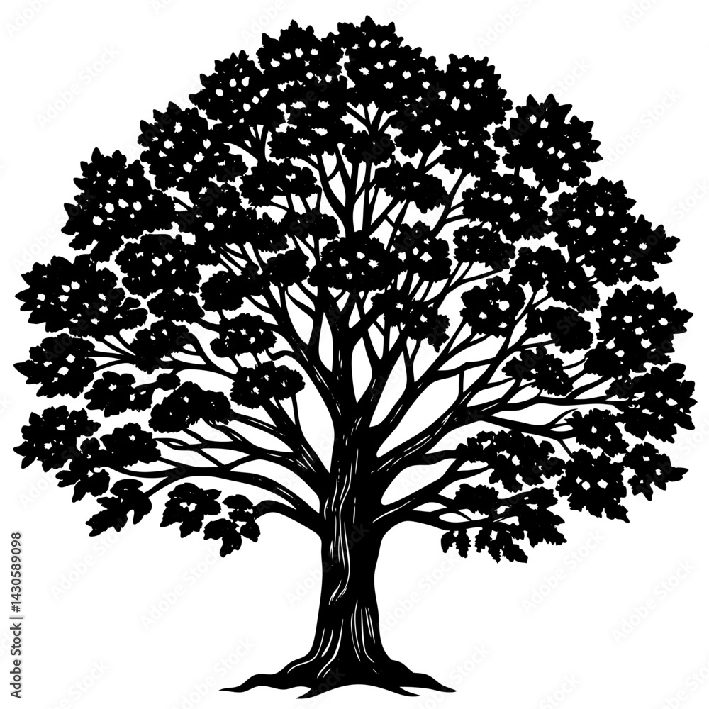 Obraz premium Teak tree