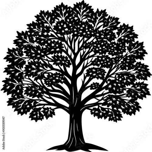 Teak tree