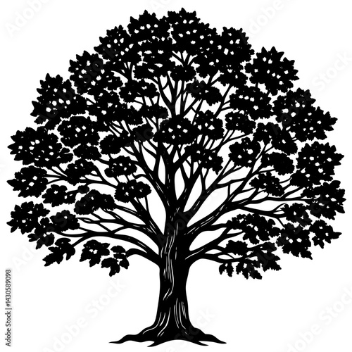 Teak tree