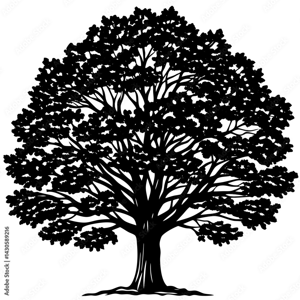 Obraz premium Teak tree