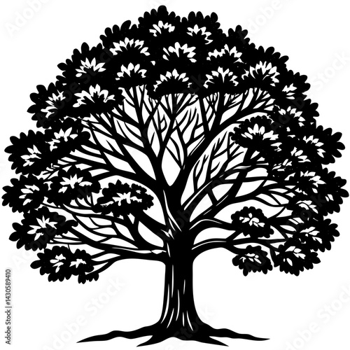 Teak tree