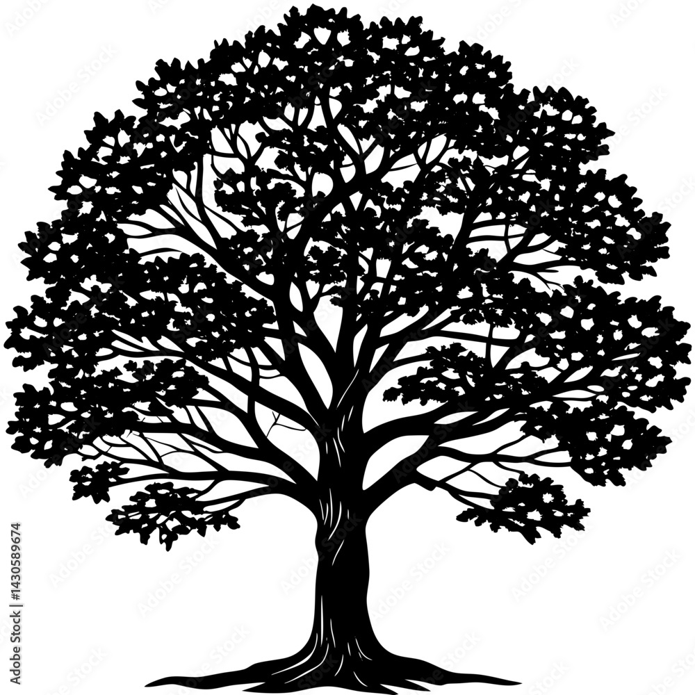 Obraz premium Teak tree