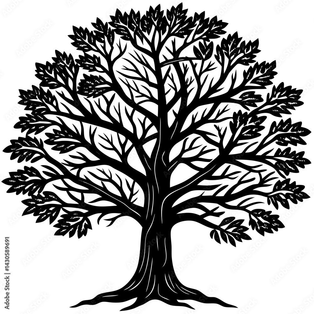 Obraz premium Teak tree