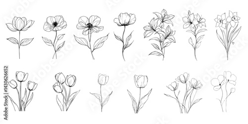 Hand-drawn line drawing of  flowers. silhouette