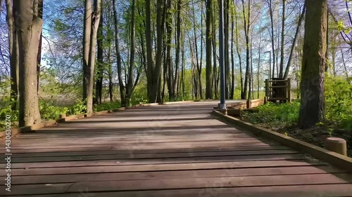 Boardwalk in the forest. Wood walking road.