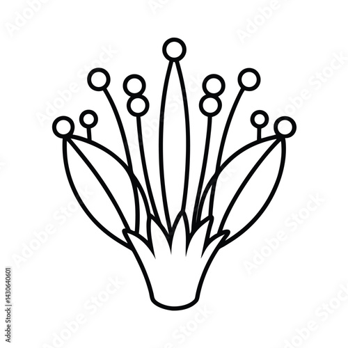 fungal crown