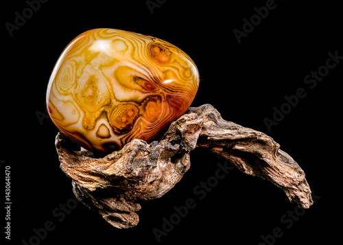 Polished Agate Stone Resting on Driftwood Sculpture
