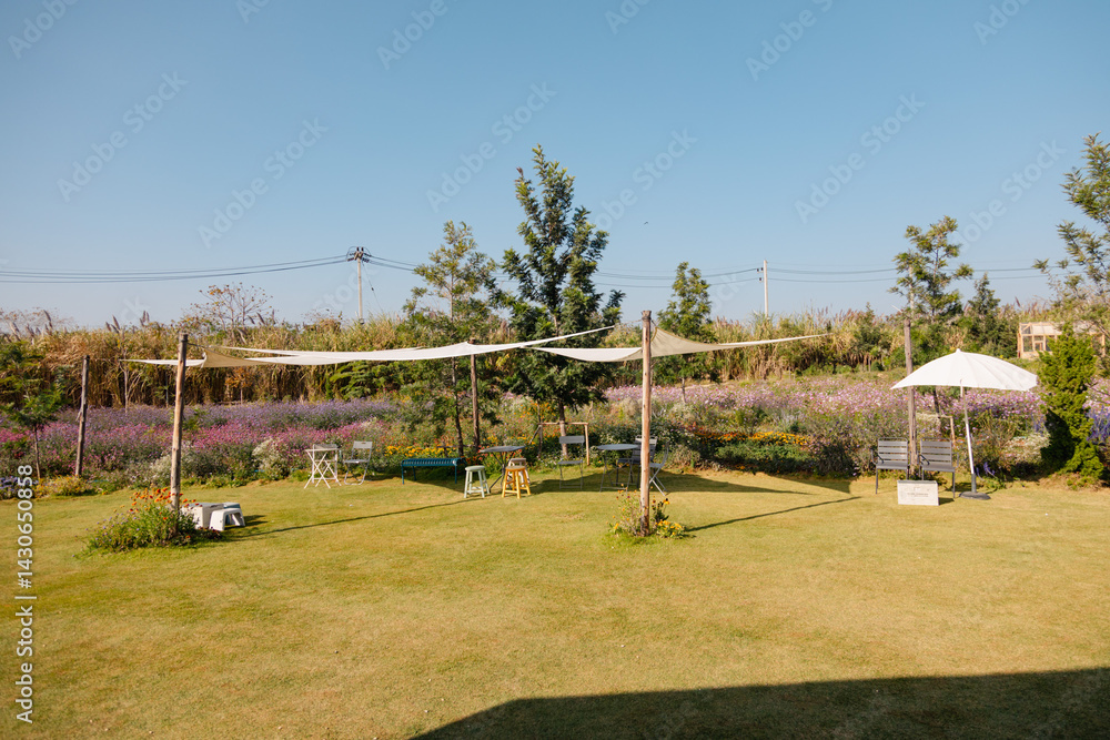 Fototapeta premium Shade in the field