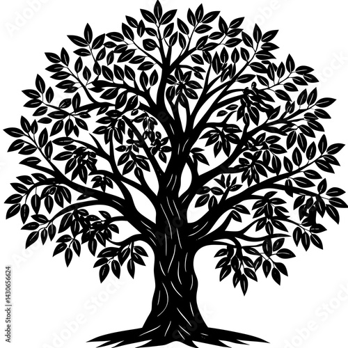 Neem 