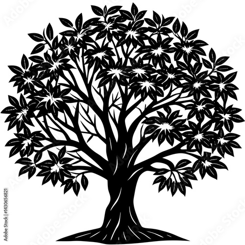 Neem 