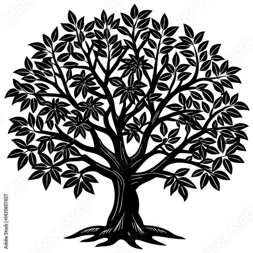 Neem 