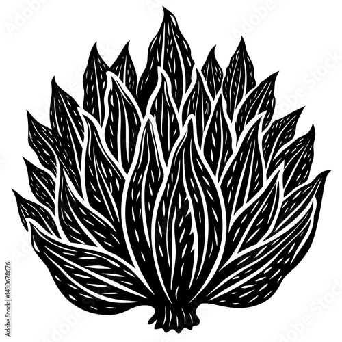 agarwood