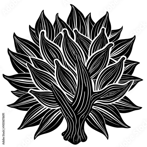 agarwood