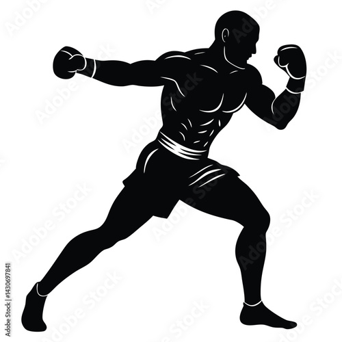 silhouette of a boxer