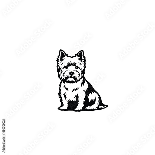 Sitting West highland Terrier dog silhouette on white background