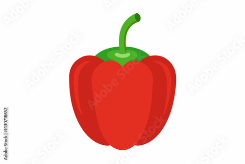 red hot chili pepper vector illustration 