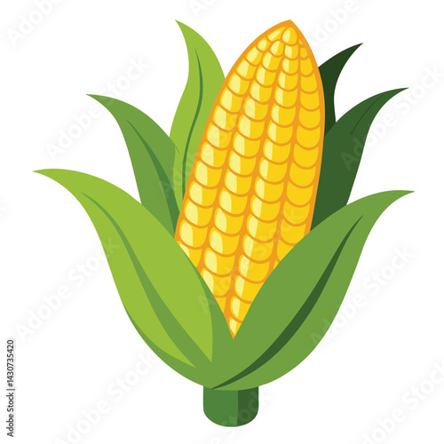 American corn on the cob set isolated shilhotee vector on white background