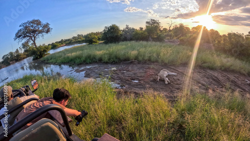 Photography Kruger National Park in South Africa allows you to observe a variety of wild ani