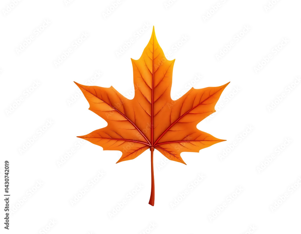 Vibrant Orange Maple Leaf with Detailed Veins Vibrant Orange Maple Leaf with Detailed Veins