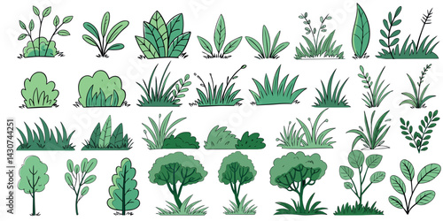 Hand drawn shrub bush shrubbery tree. set of garden plant element. Eco element