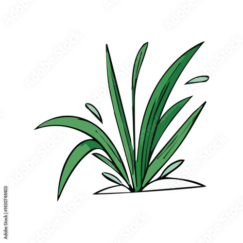 Hand drawn shrub bush shrubbery tree. set of garden plant element. Eco element