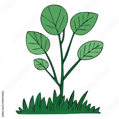 Hand drawn shrub bush shrubbery tree. set of garden plant element. Eco element