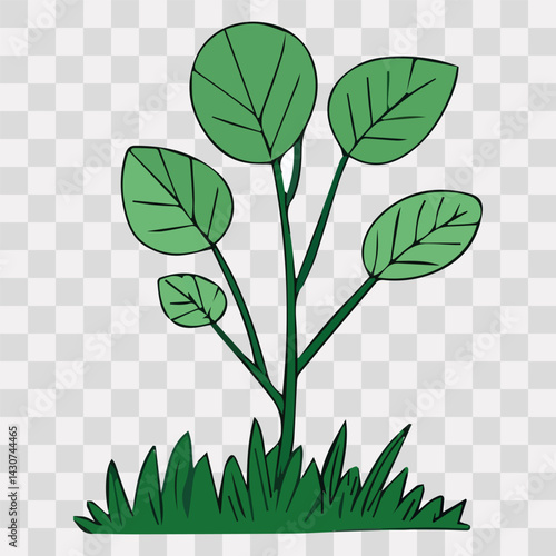 Hand drawn shrub bush shrubbery tree. set of garden plant element. Eco element