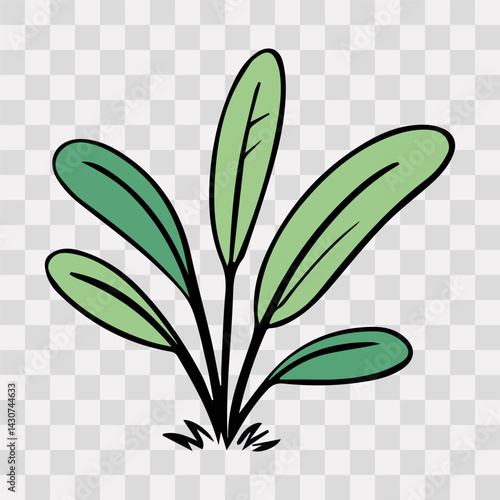 Hand drawn shrub bush shrubbery tree. set of garden plant element. Eco element